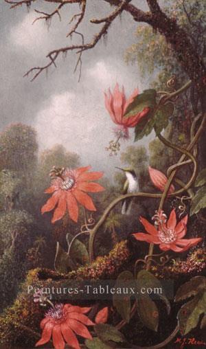 Colibri et passiflore fleur romantique Martin Johnson Heade Peintures à l'huile
